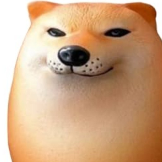 ｼﾊﾞｺしか見えない