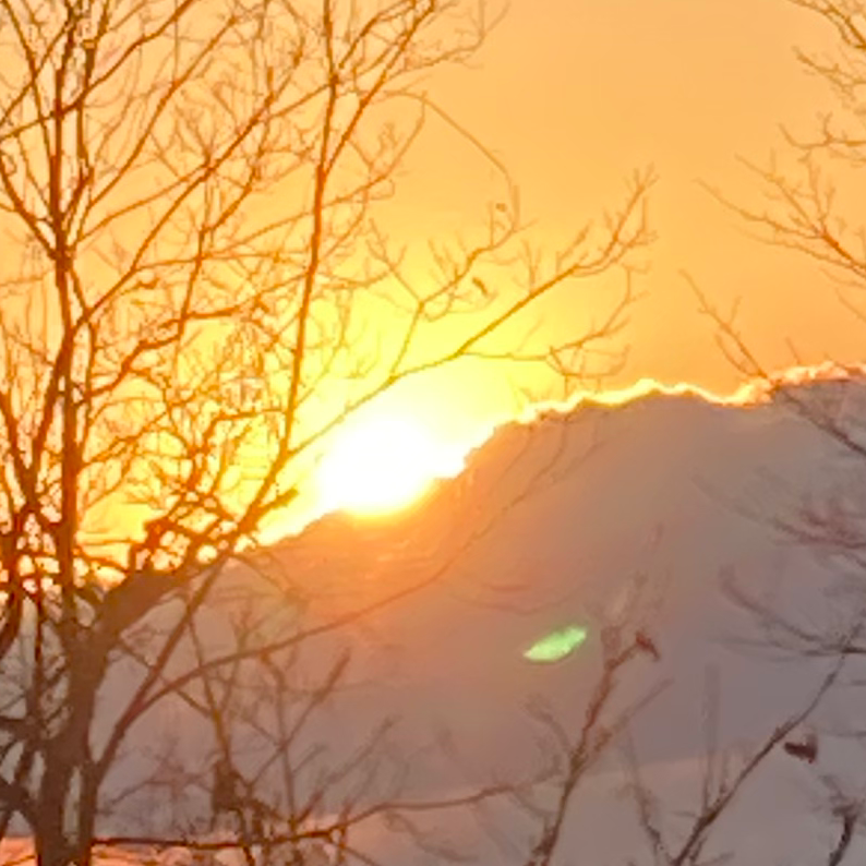 フォローされたから