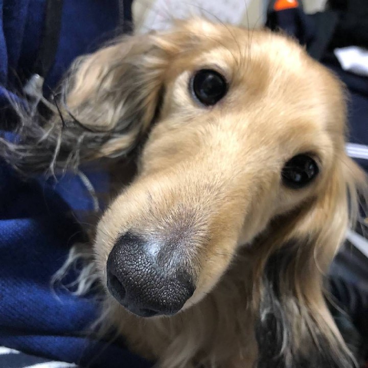 明日1/6の夜~オールカラオケ