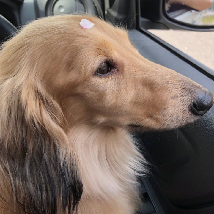 明後日1/7のお昼