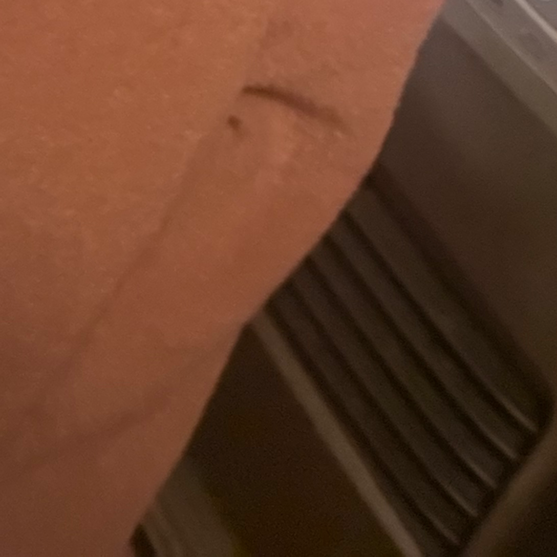 めちゃかわいい