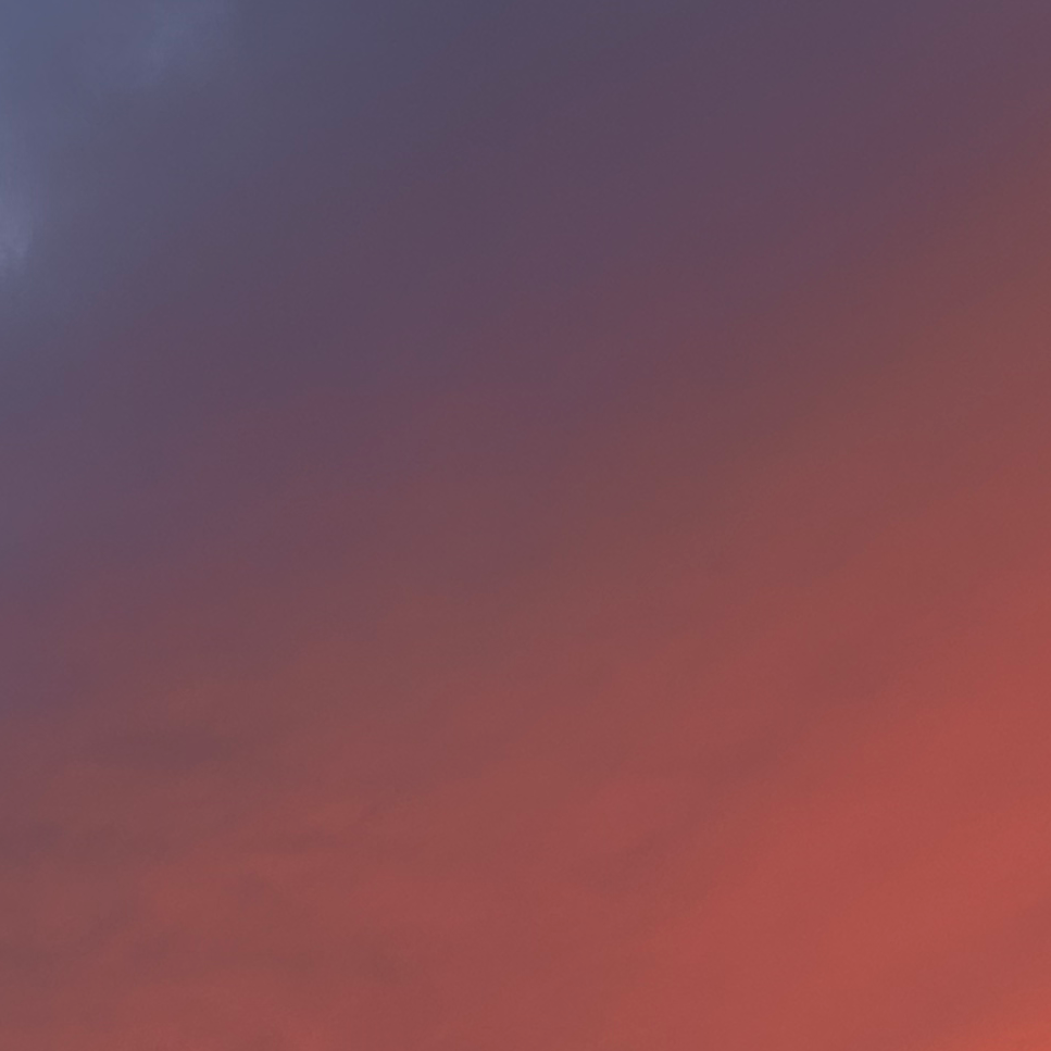 どう転んでも遊び目当て