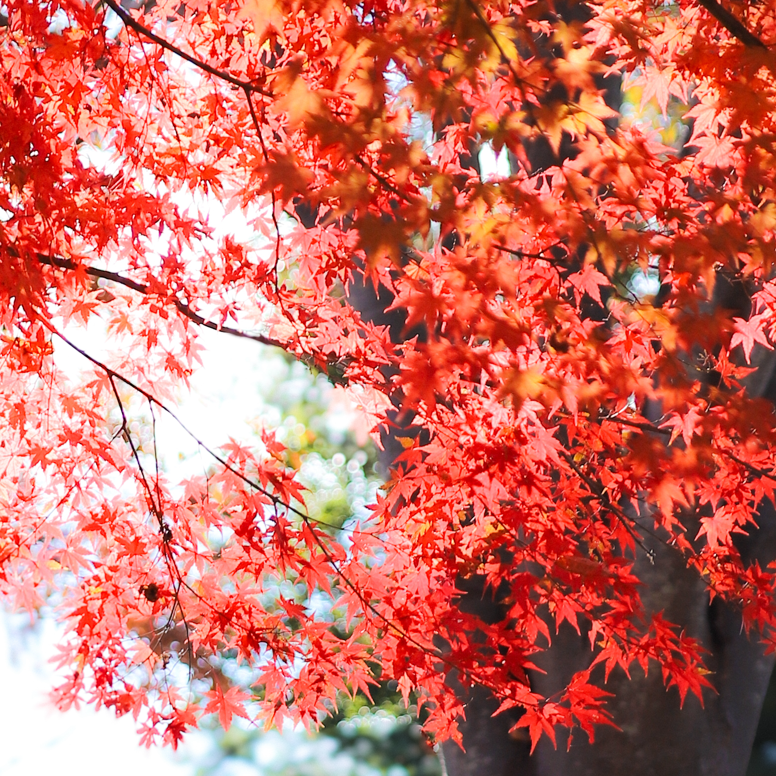 うーん、、、わからない