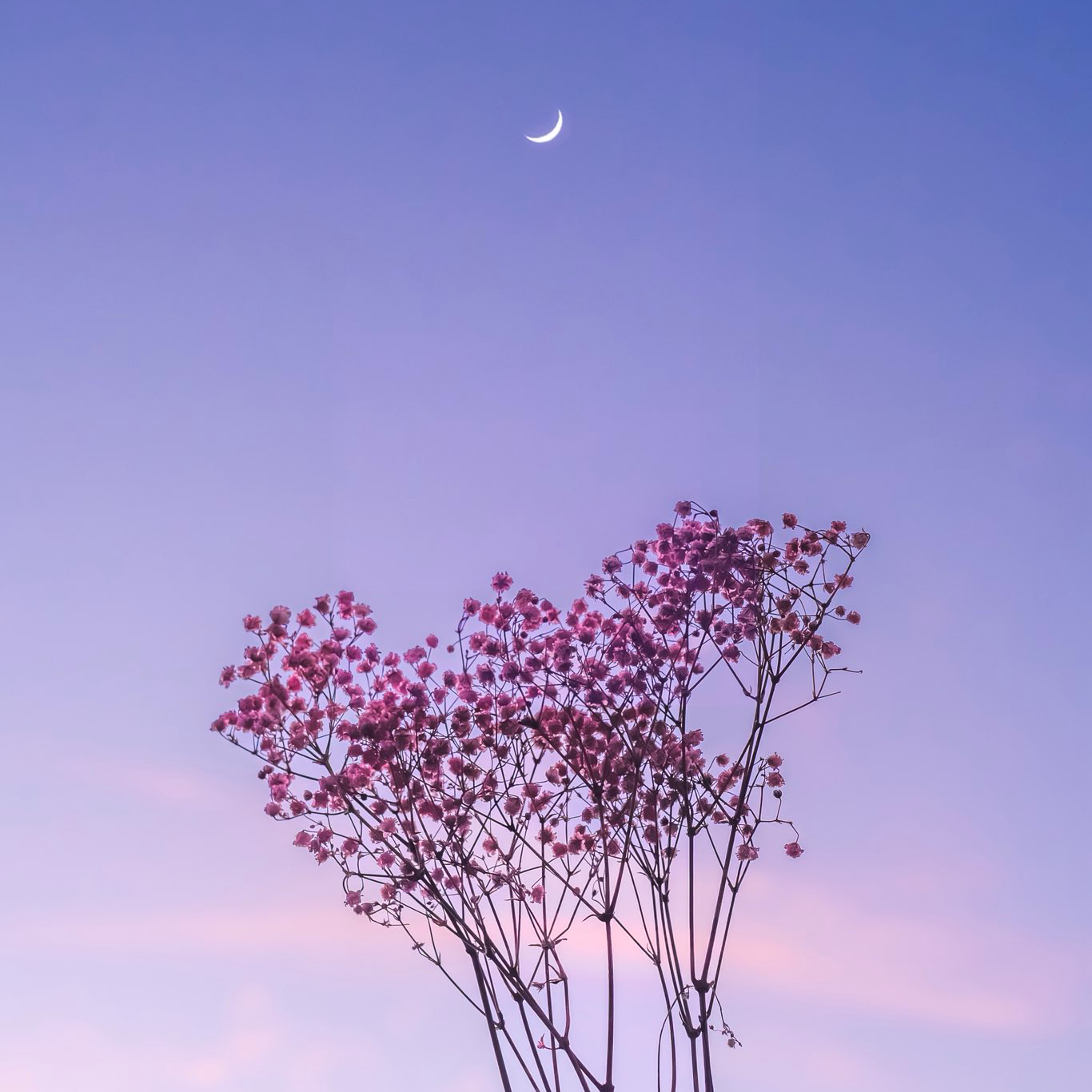 ランチ行ってから次第ですけどね