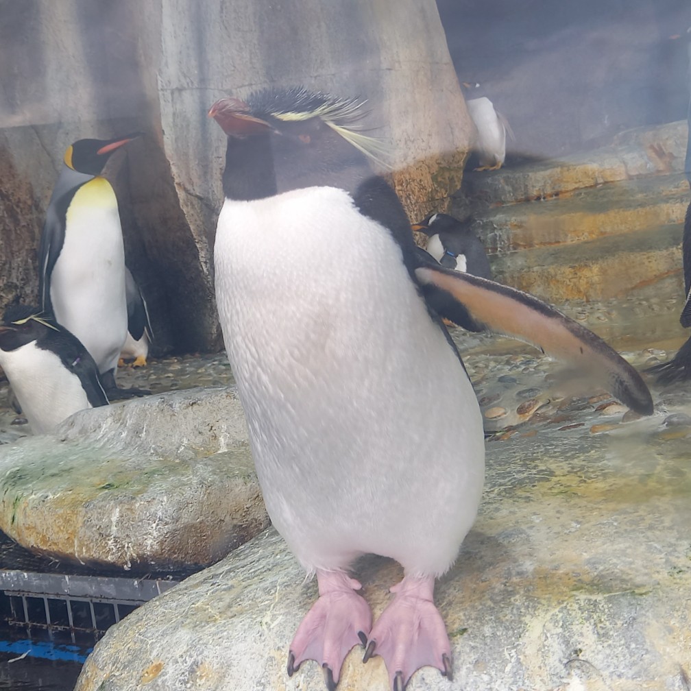 見た目美人（見た目派）