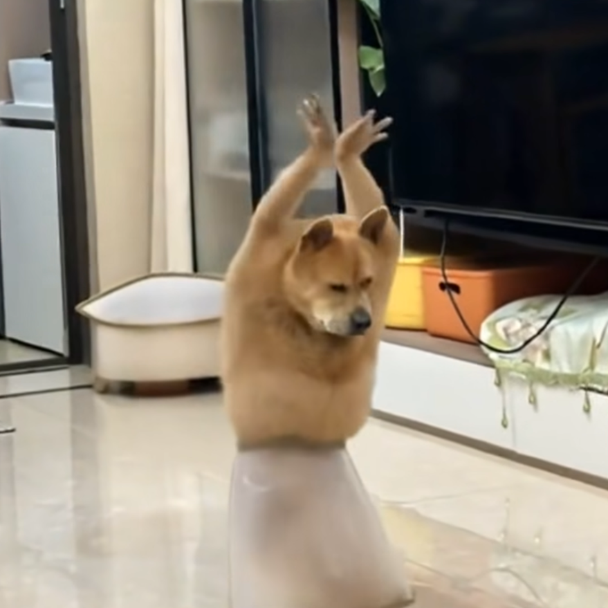 行ったほうがいいよ！