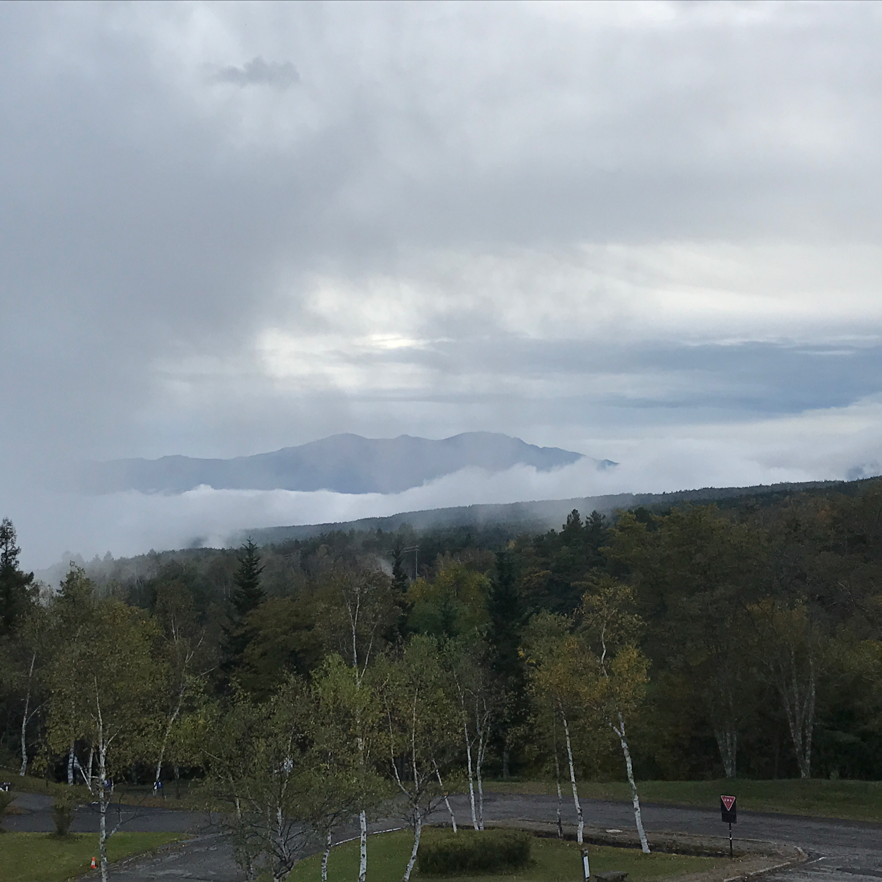 MG ジースリャー(G3)