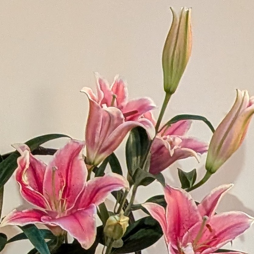 長さは問わず読みたい