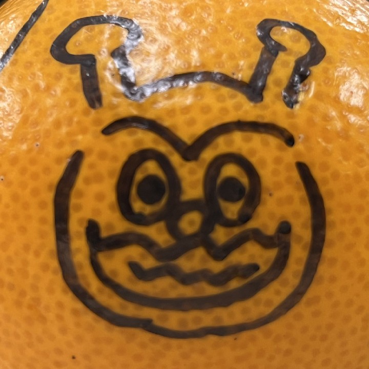 面白そう！楽しそう！