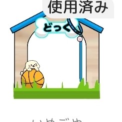 ツガイ募集中•ﻌ•）