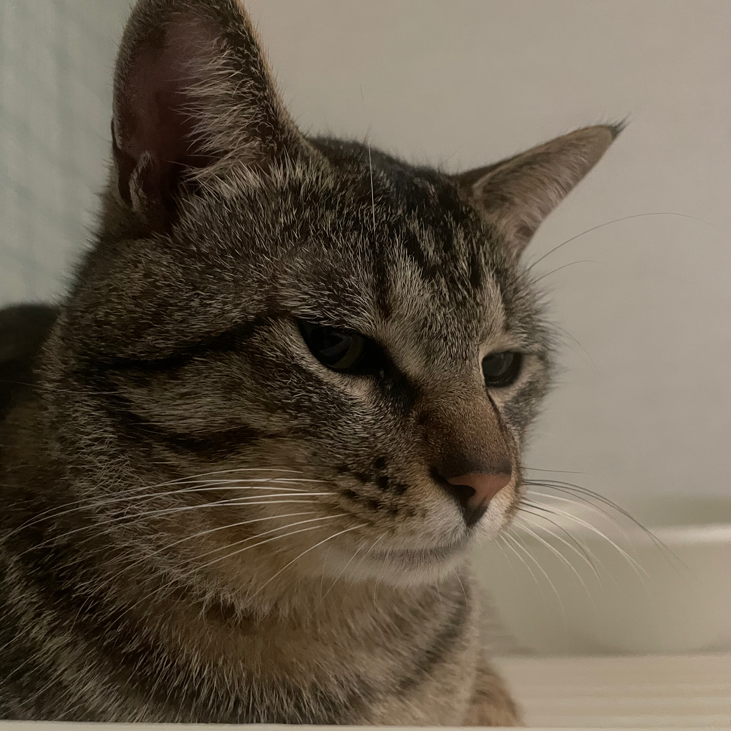 【右利き】右巻き