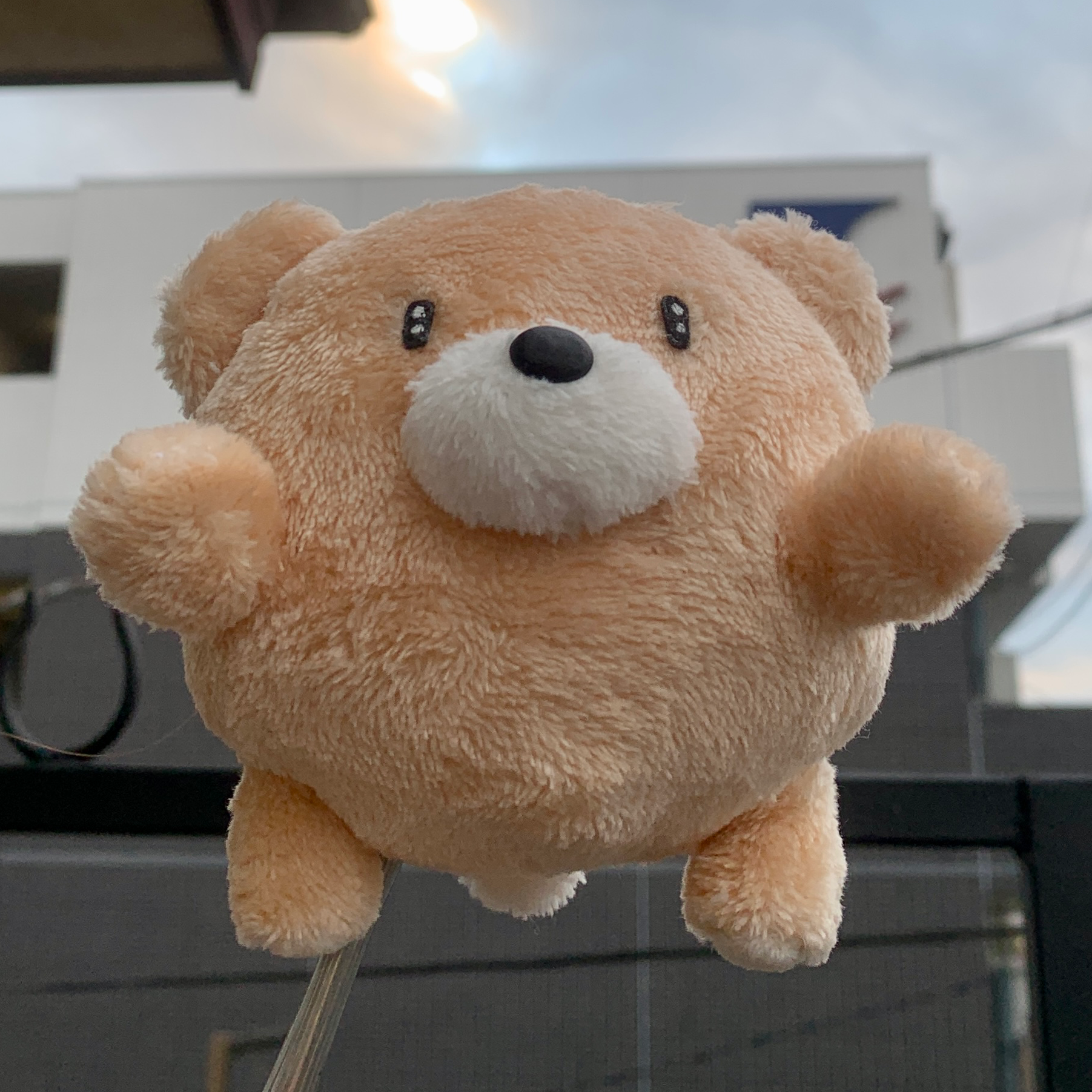 🐻モリックマ