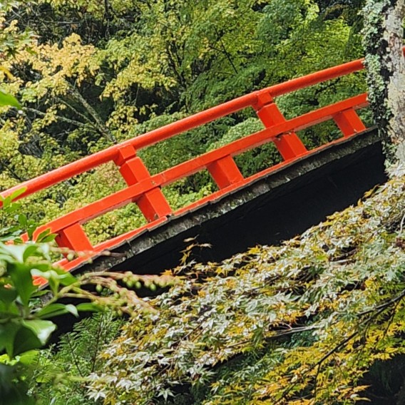 その他はコメントに！