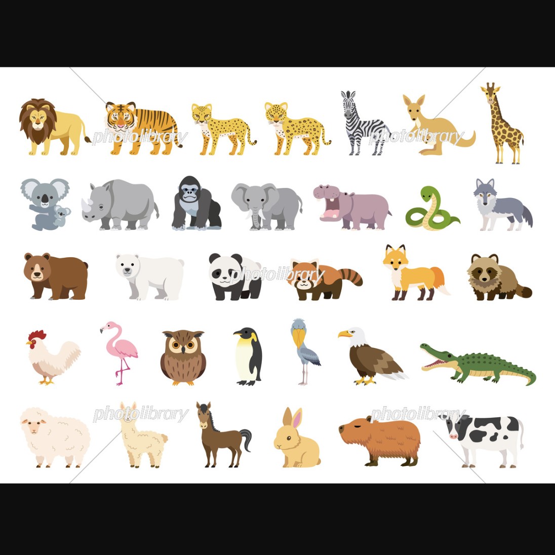 呼びやすい名前