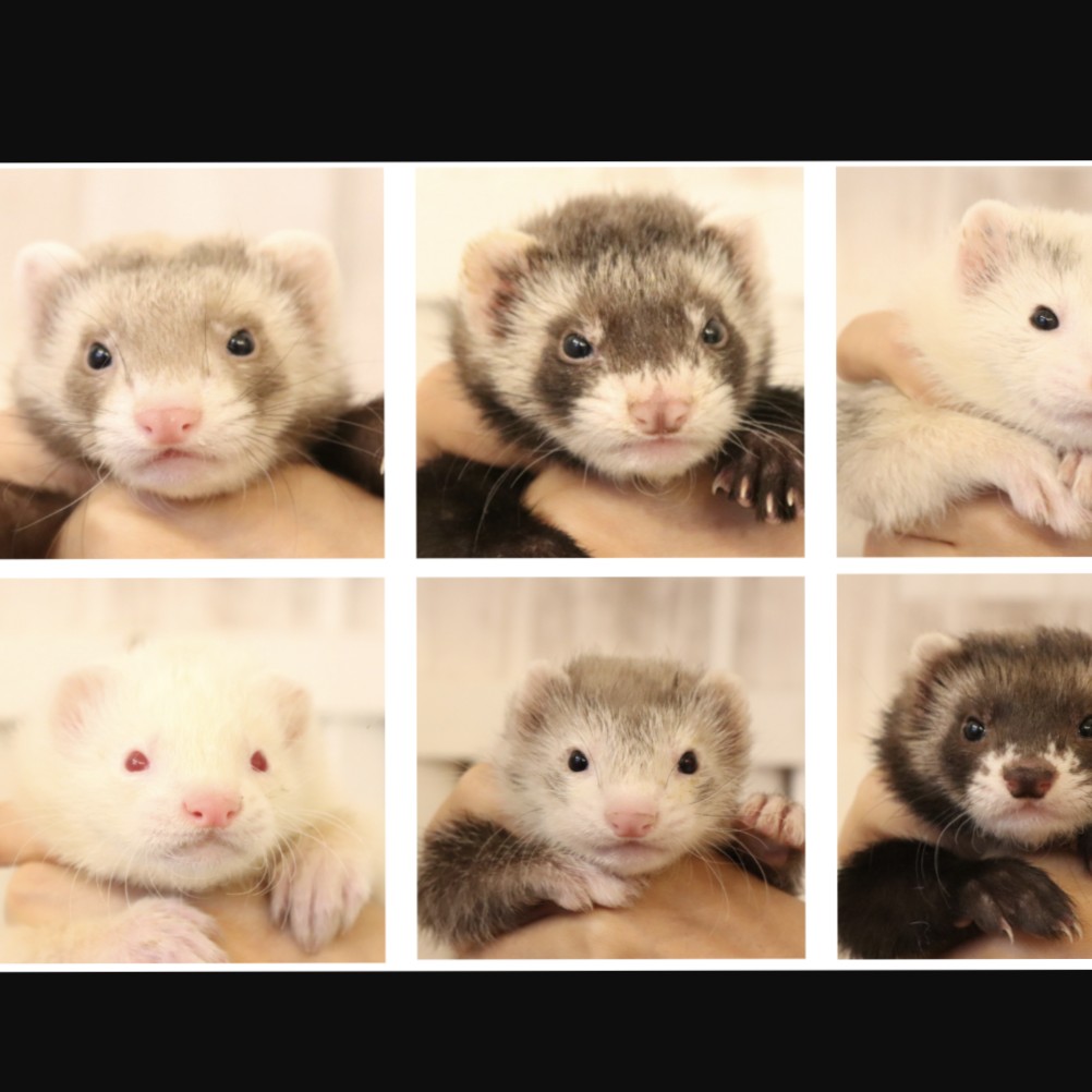 音の響きが良い名前