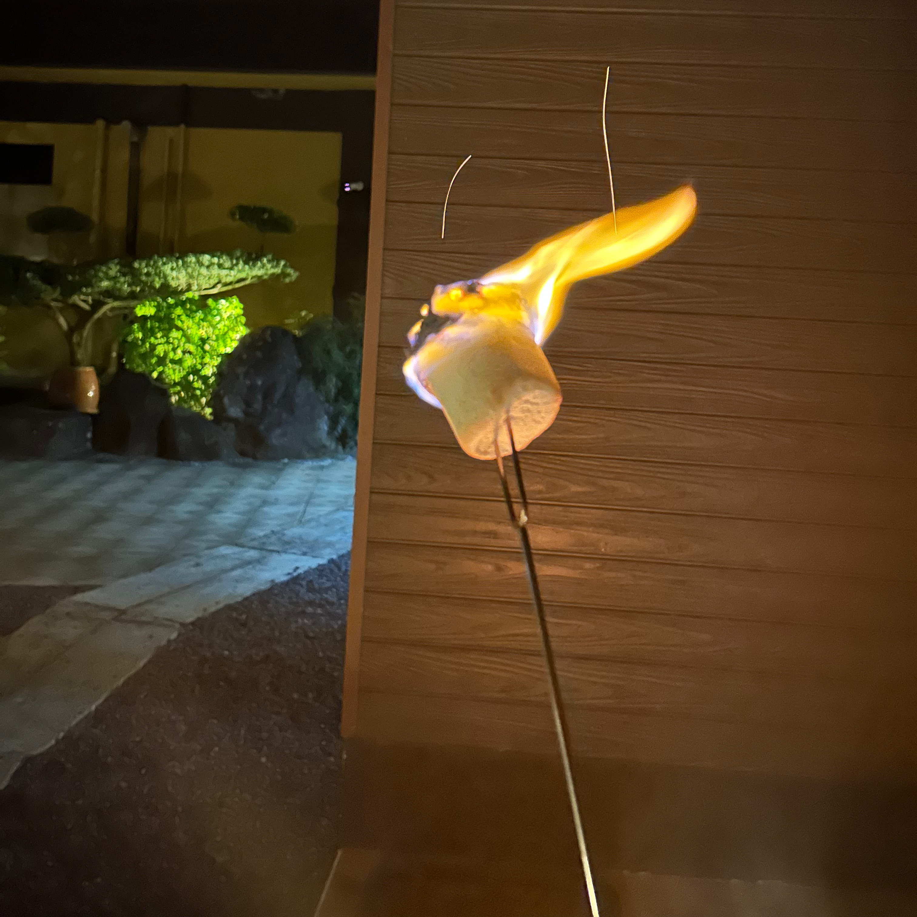 入れない（なし）