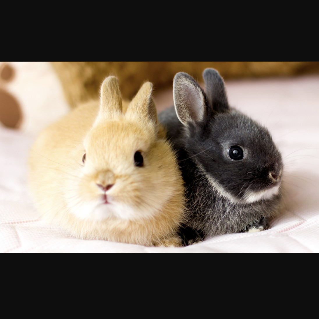 大人になっても違和感のない名前