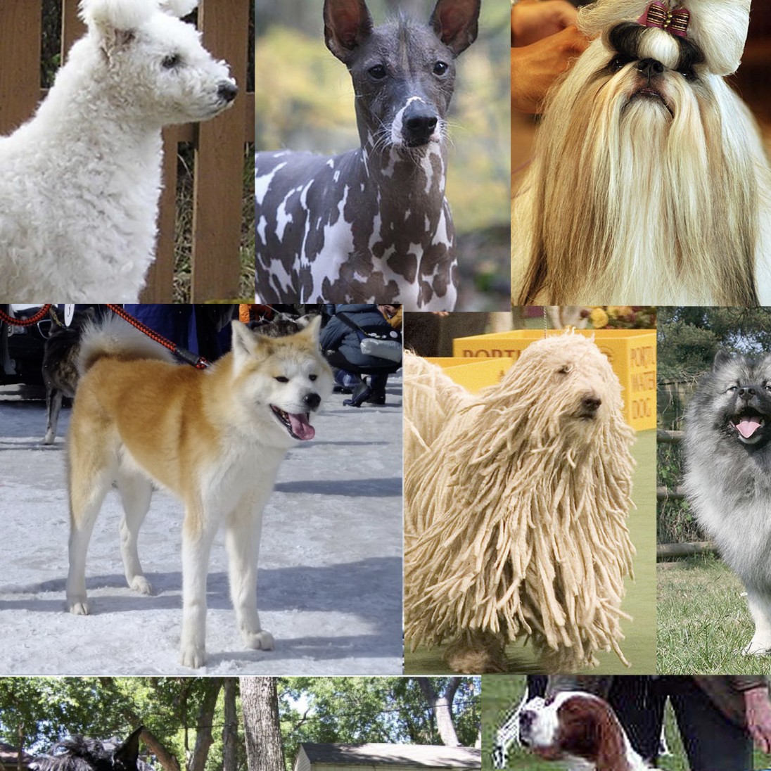 呼びやすい名前