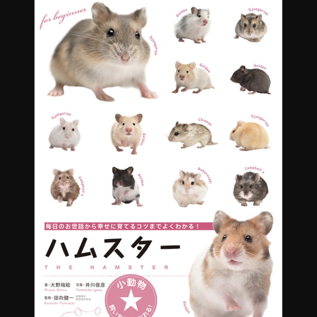 ハムスター🐹