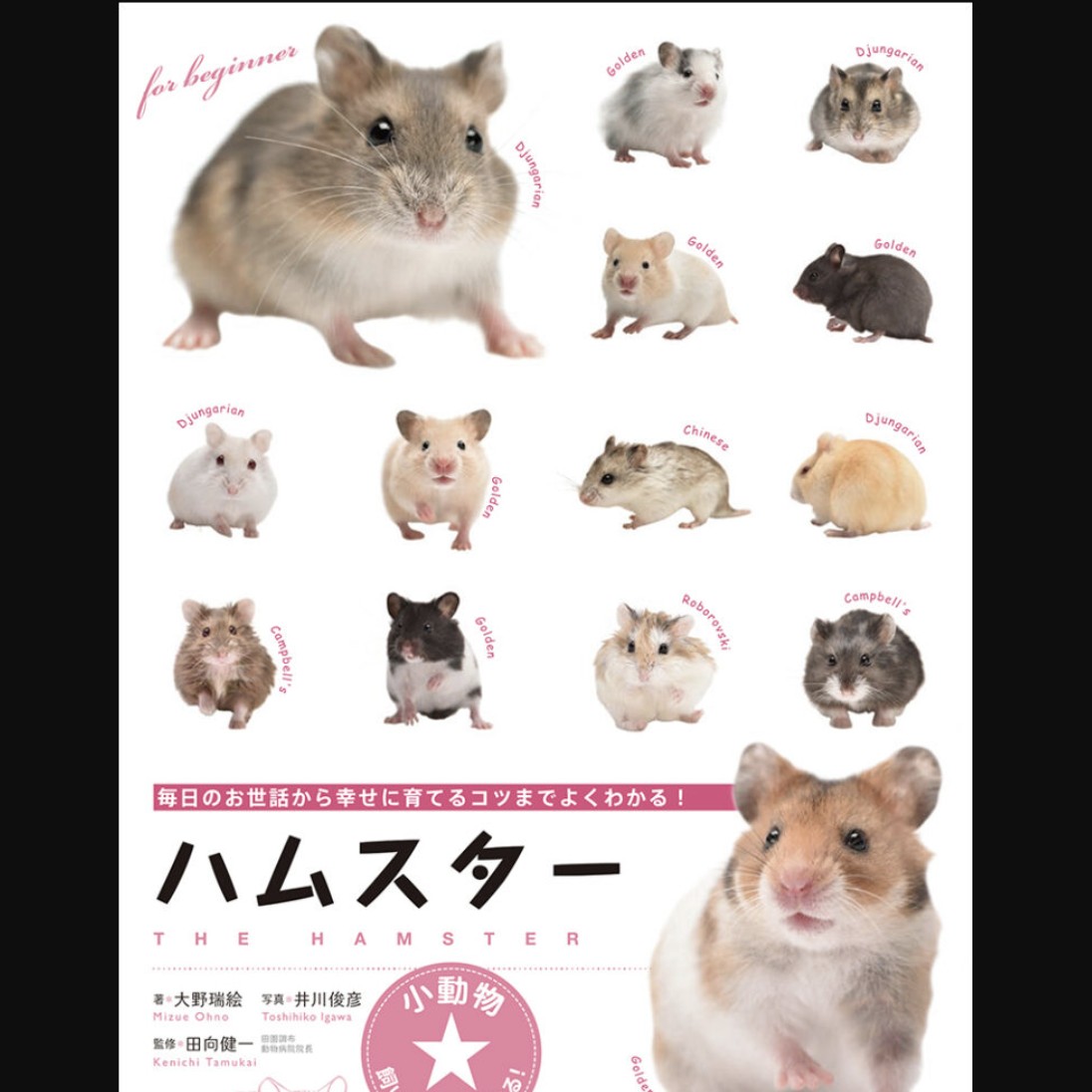 他と被らない個性的な名前