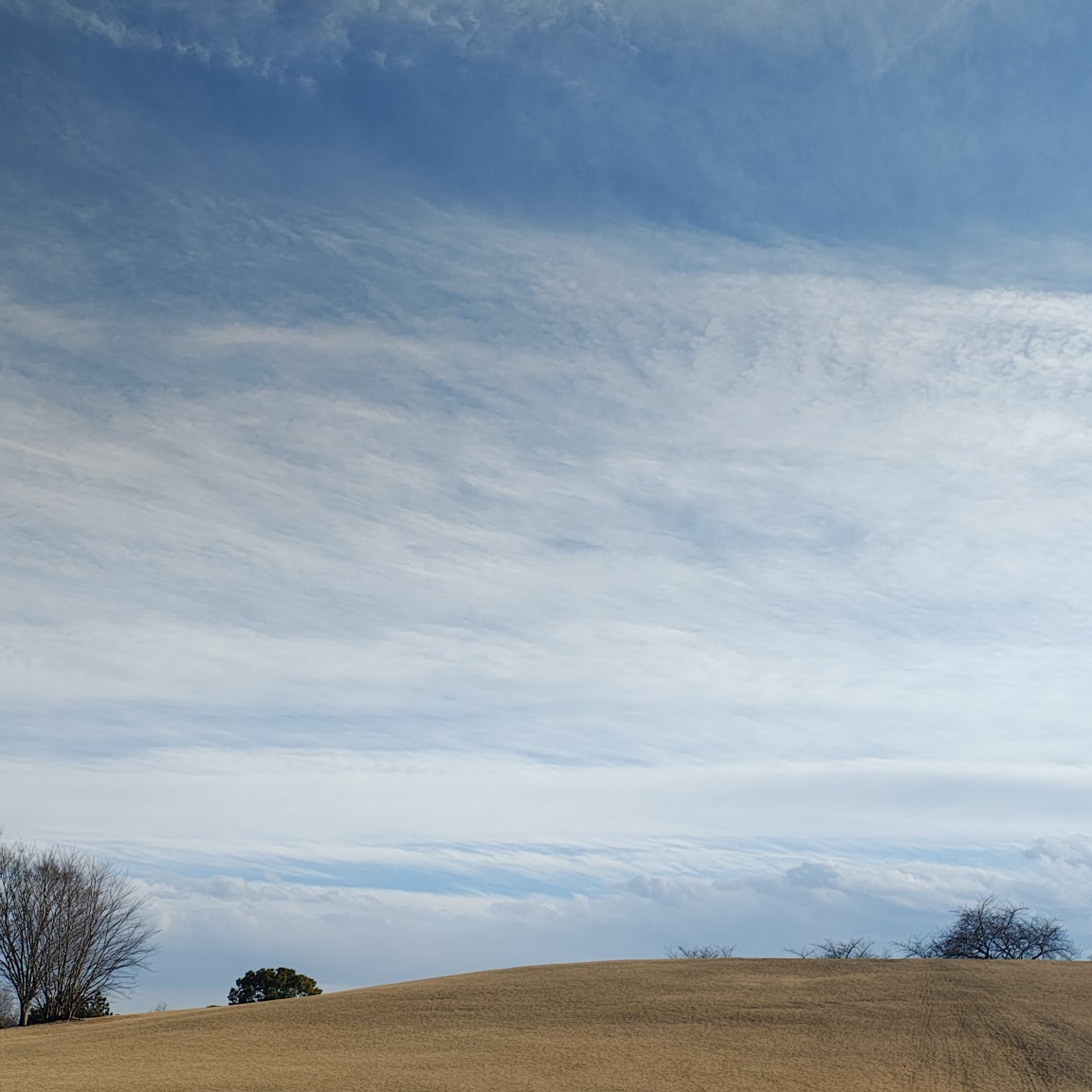 たけのこに決まってるだろぉ！