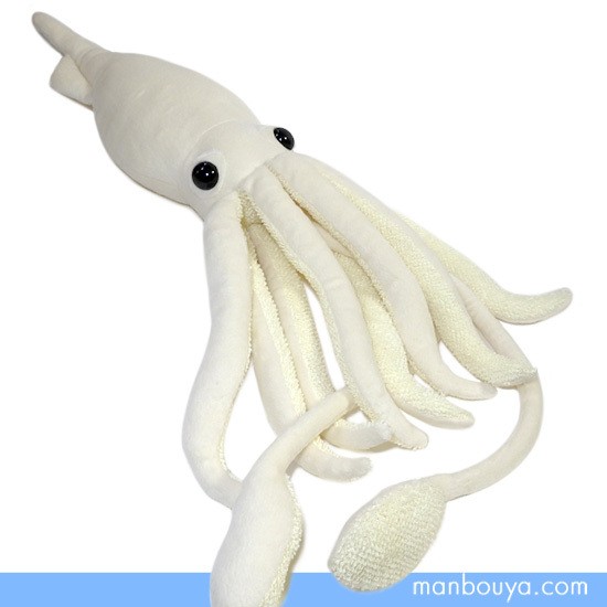 白色のダイオウイカ