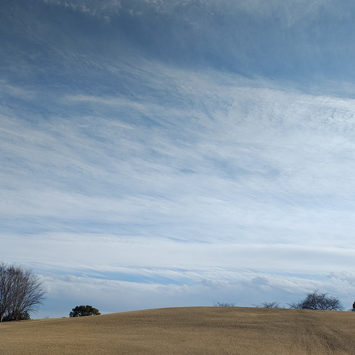 きのこに決まってんだろぉ！