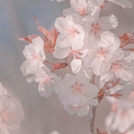 少し長め(話単位)