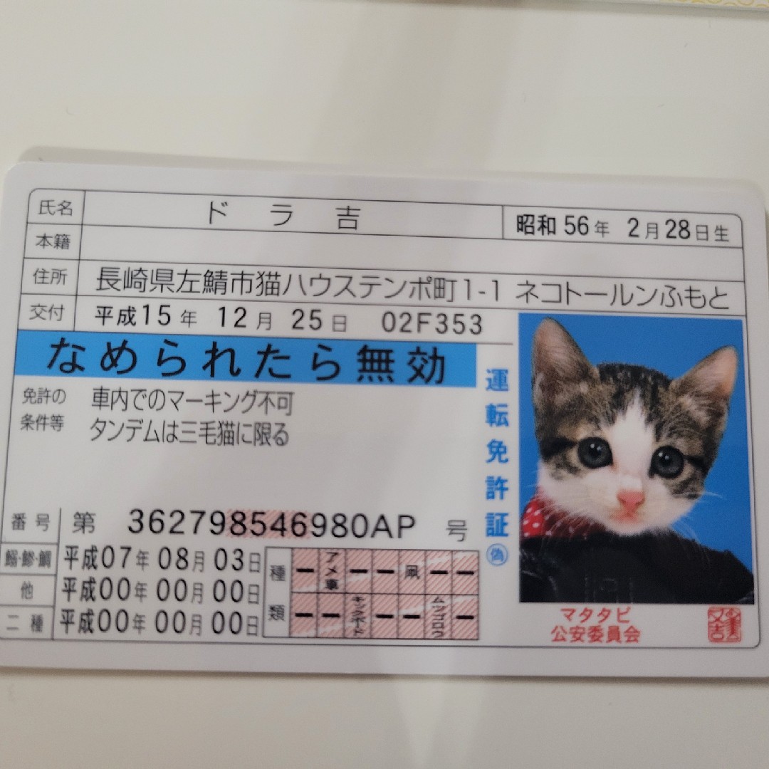 私は、少しだけ作ってます。