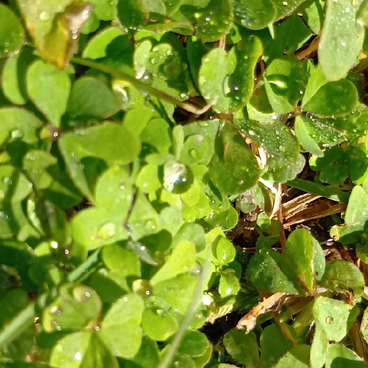 その他　-メッセージ答え欲しい-