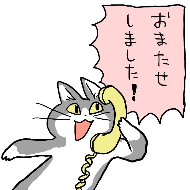 ちょっと厳しい😣