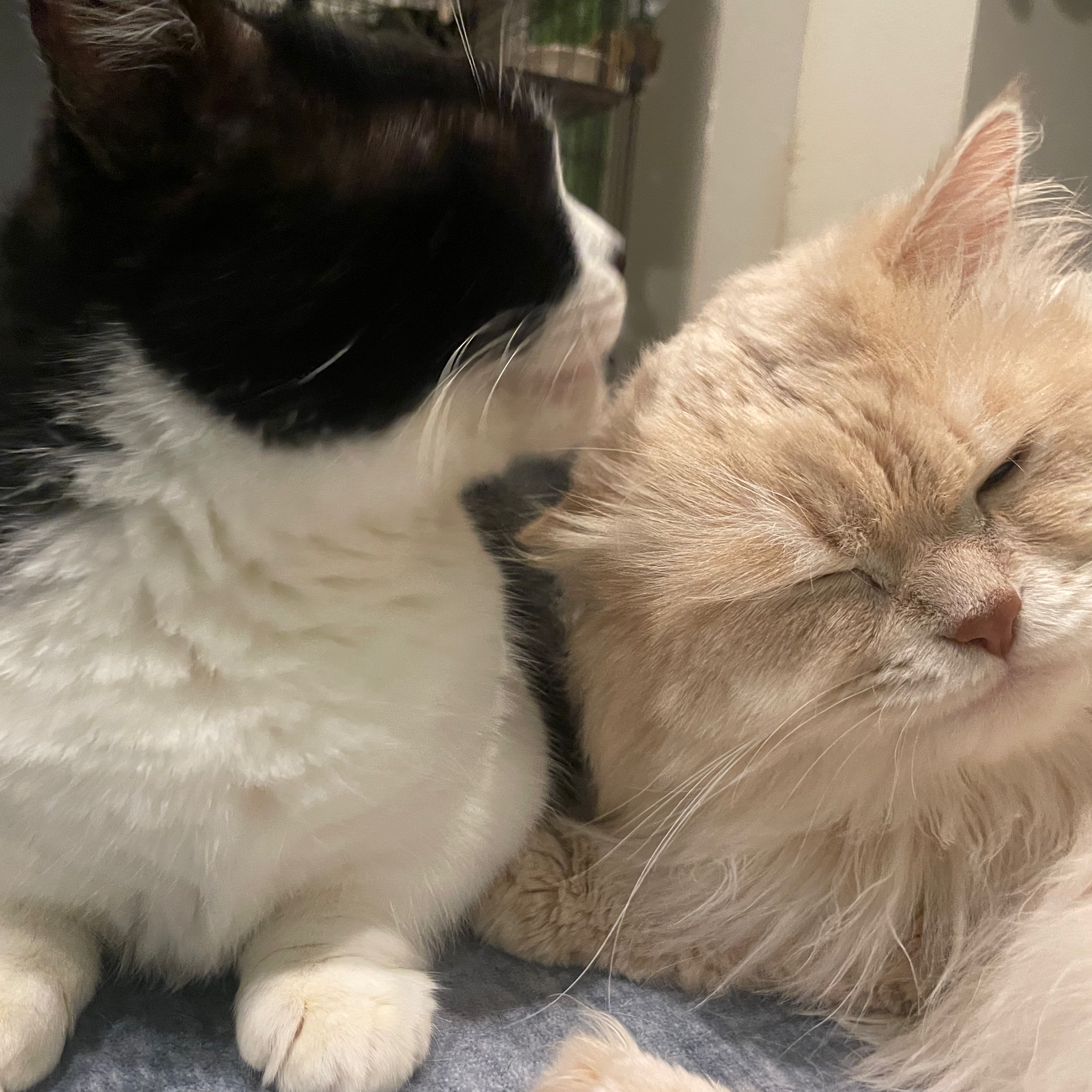 誕プレ要らんからえ○ち