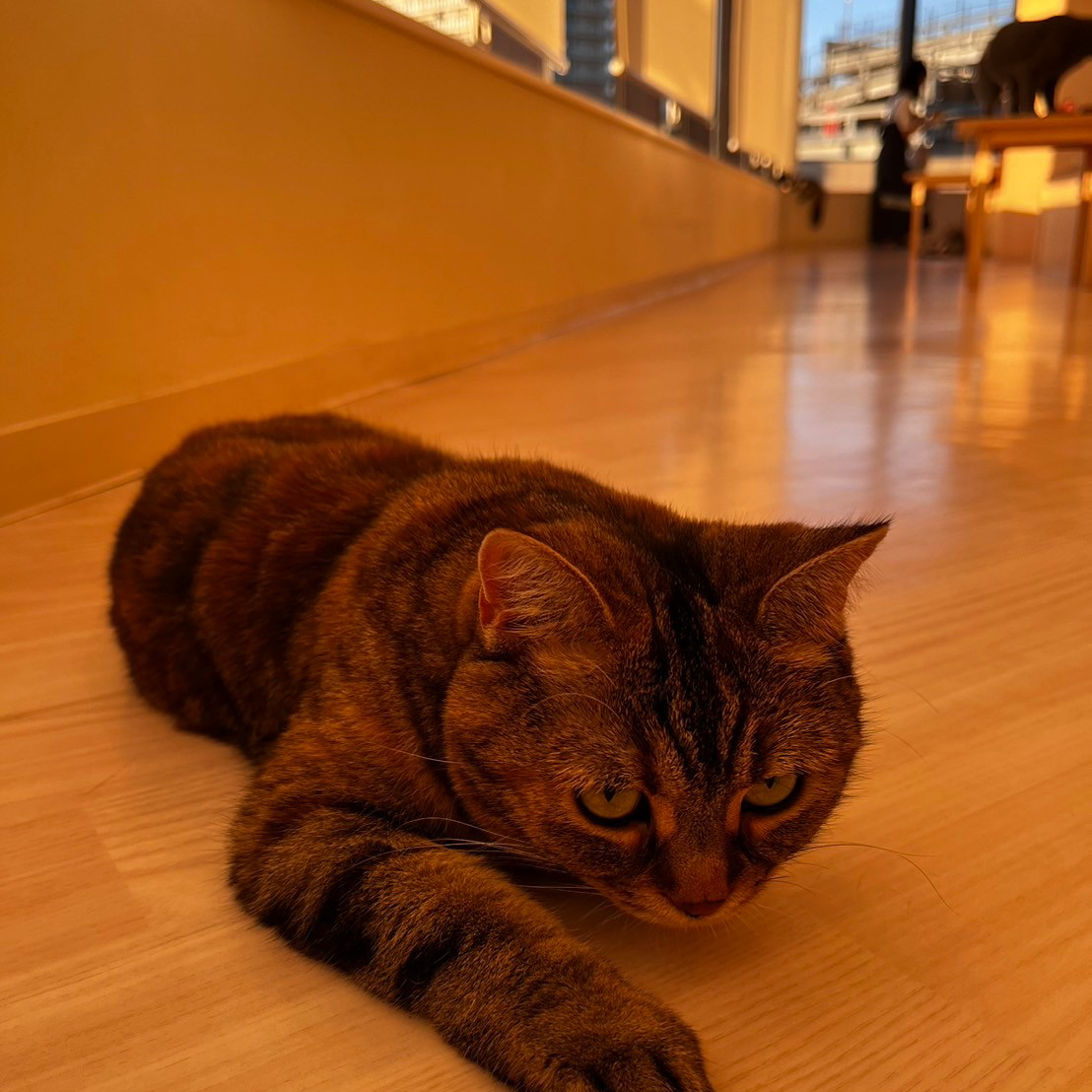 スマホ、パソコンでつくって印刷