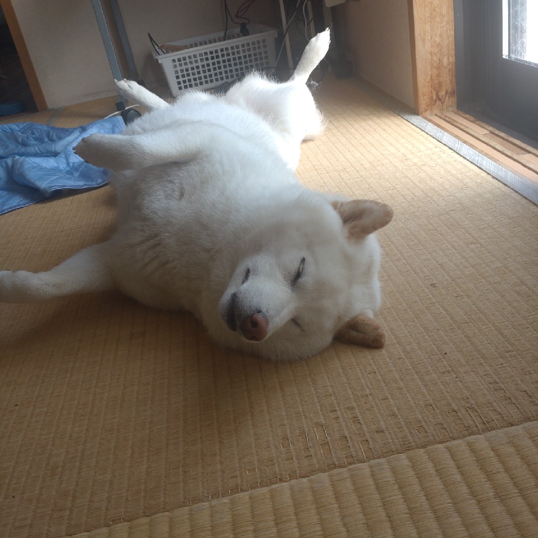 話ししたくない