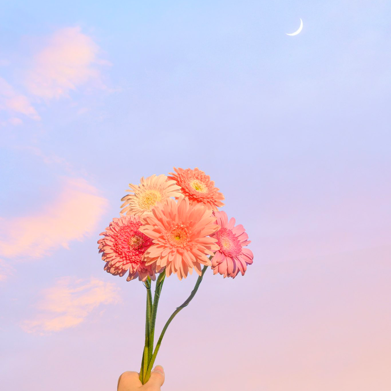 いらないとはっきり言う