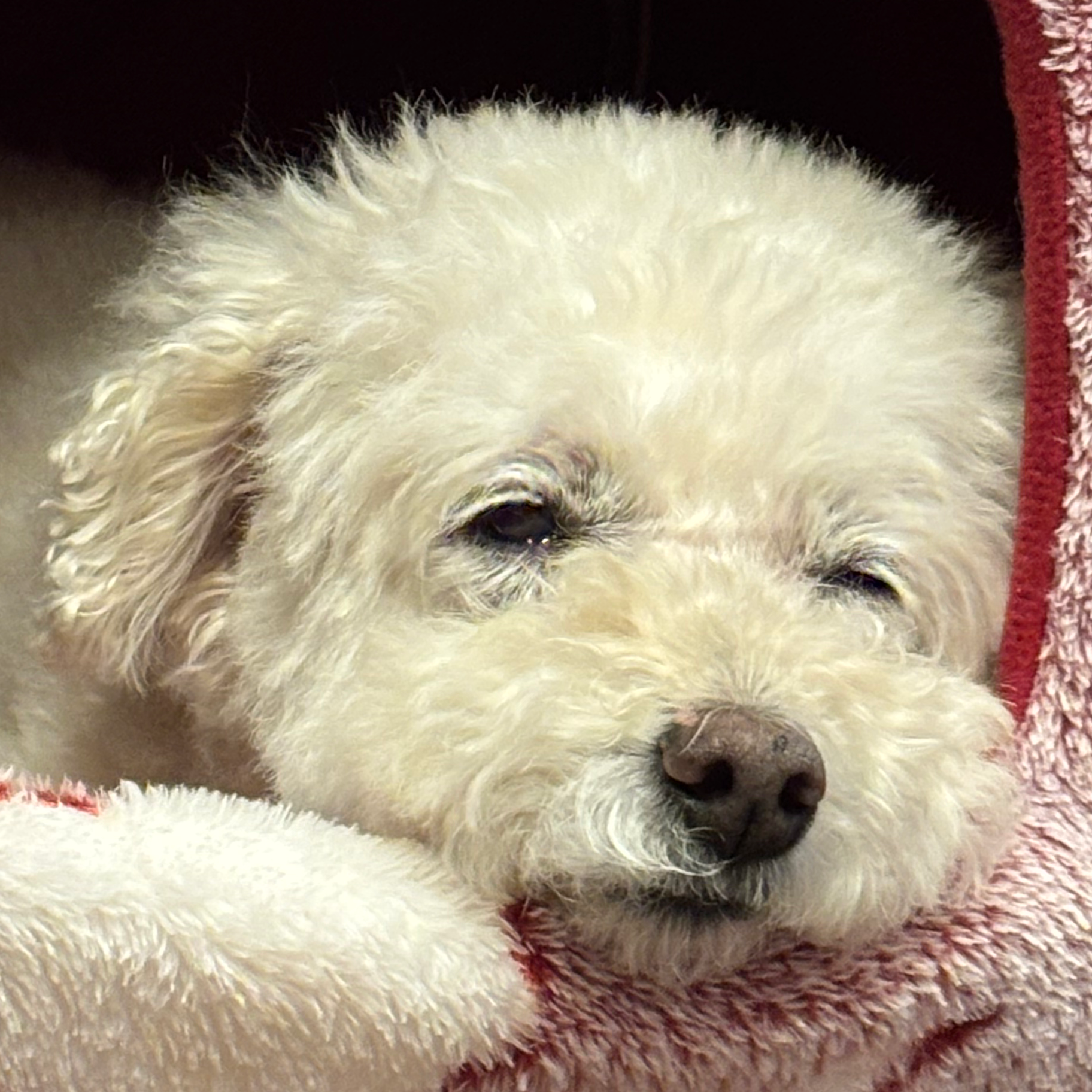 病み期無視して勉強