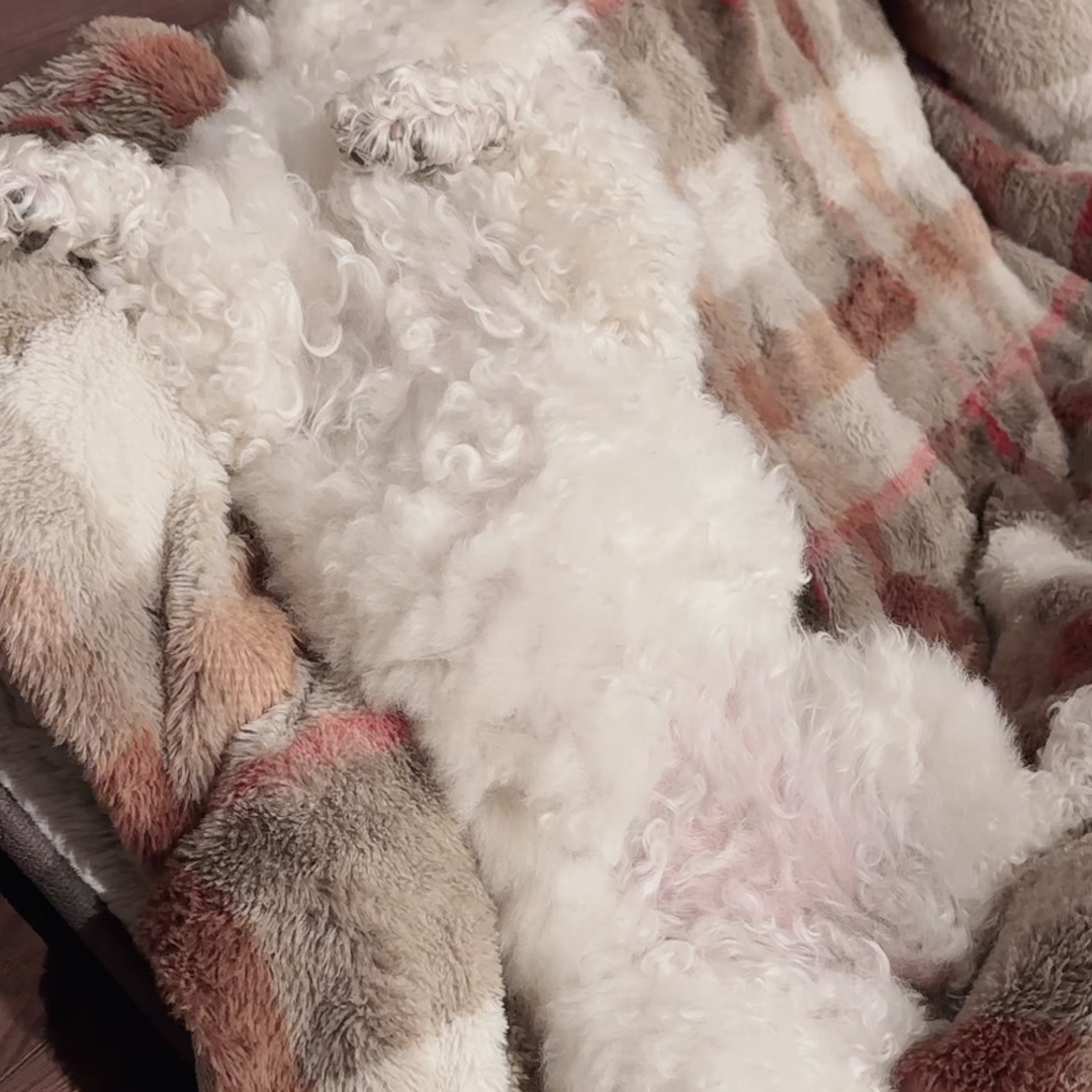 勉強無視してメンケア