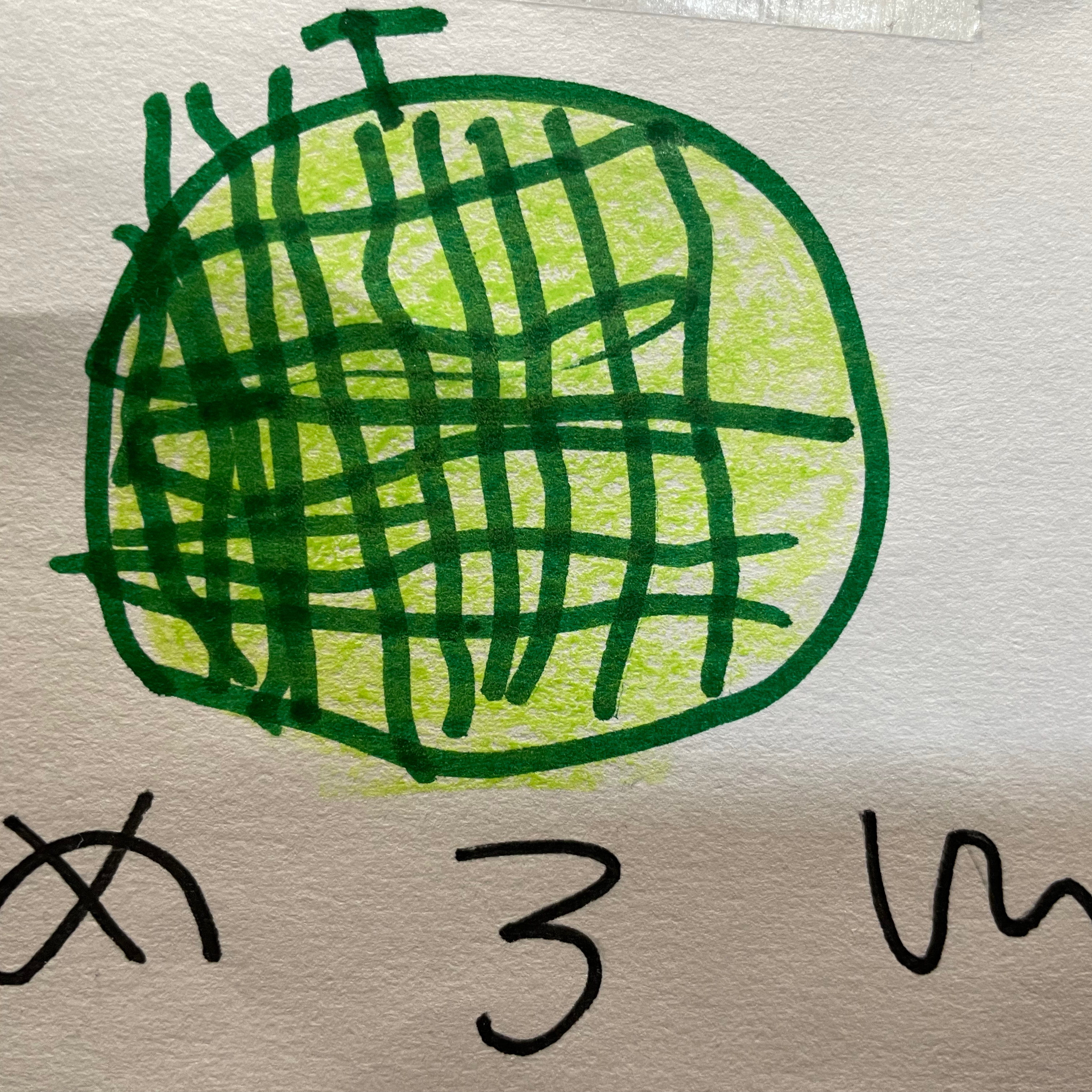 焼き鳥(せせり、もも、豚バラ)