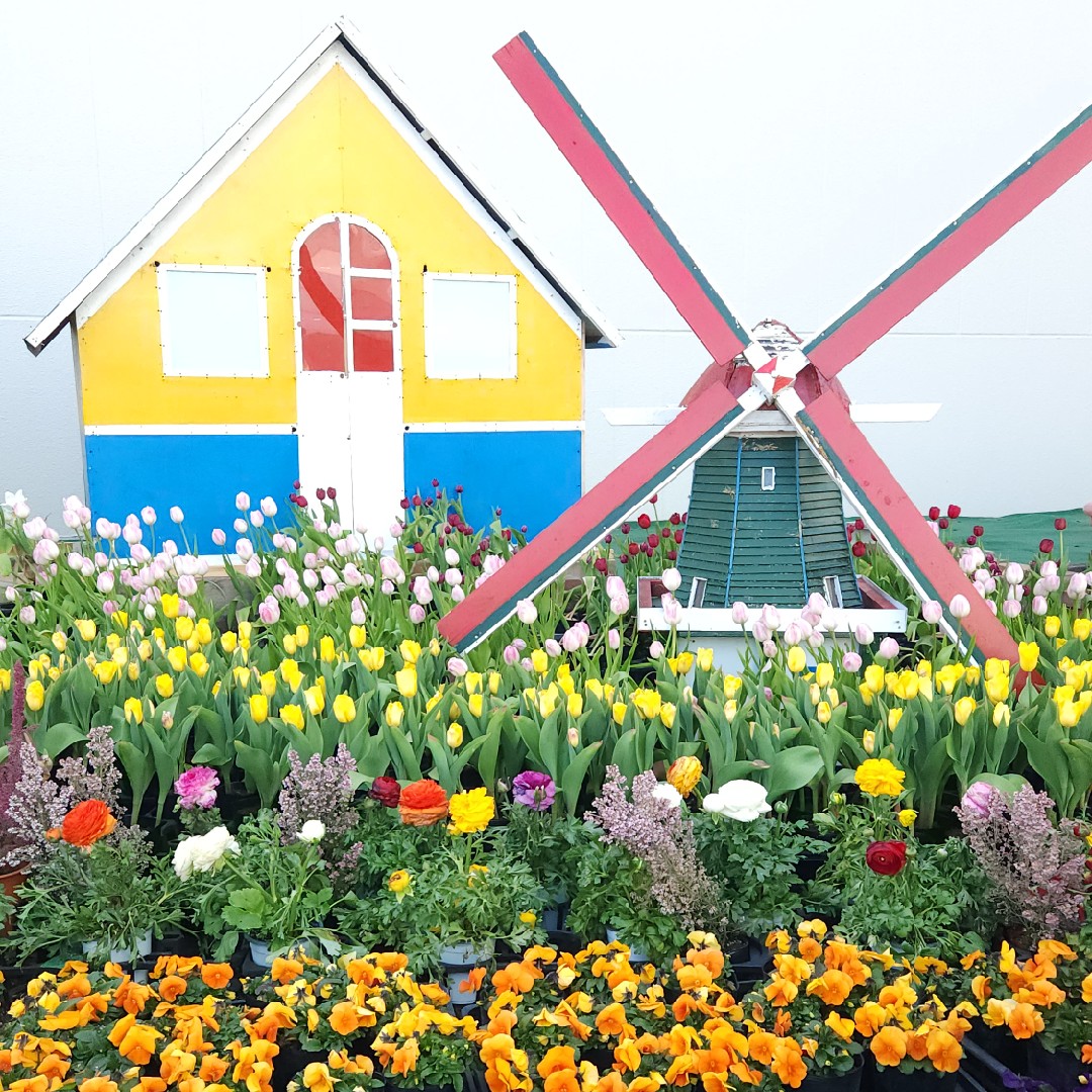 ②アドバイスコメント