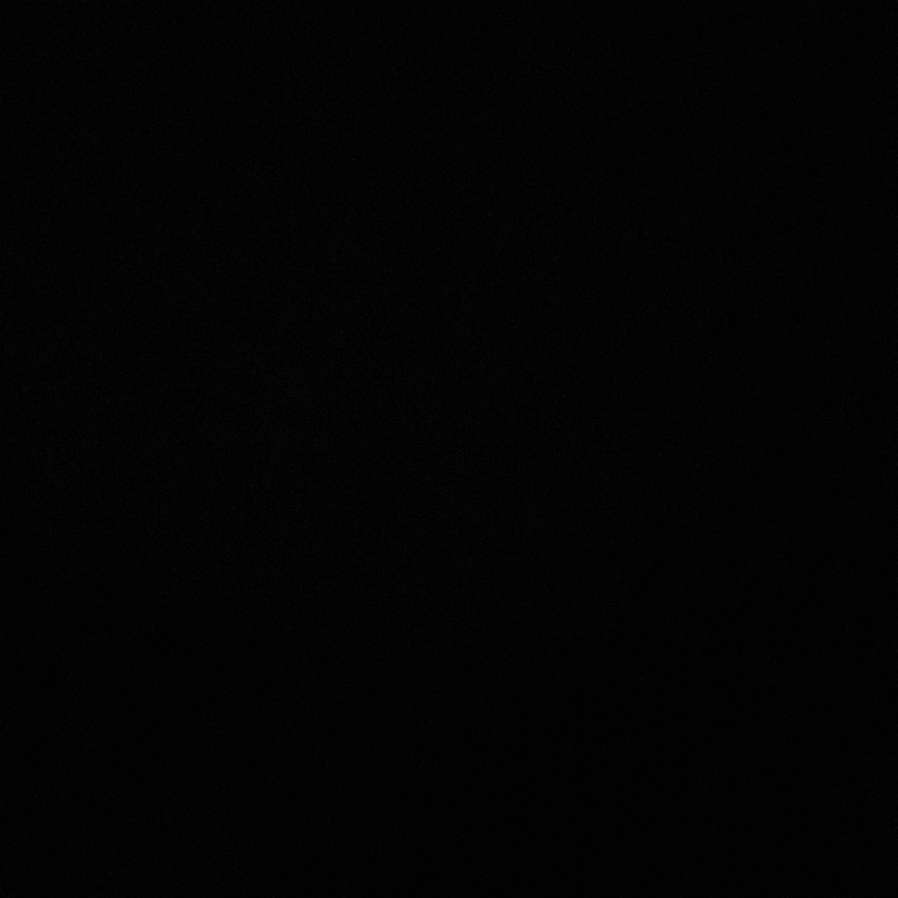 鳥派、いちばんかわいい