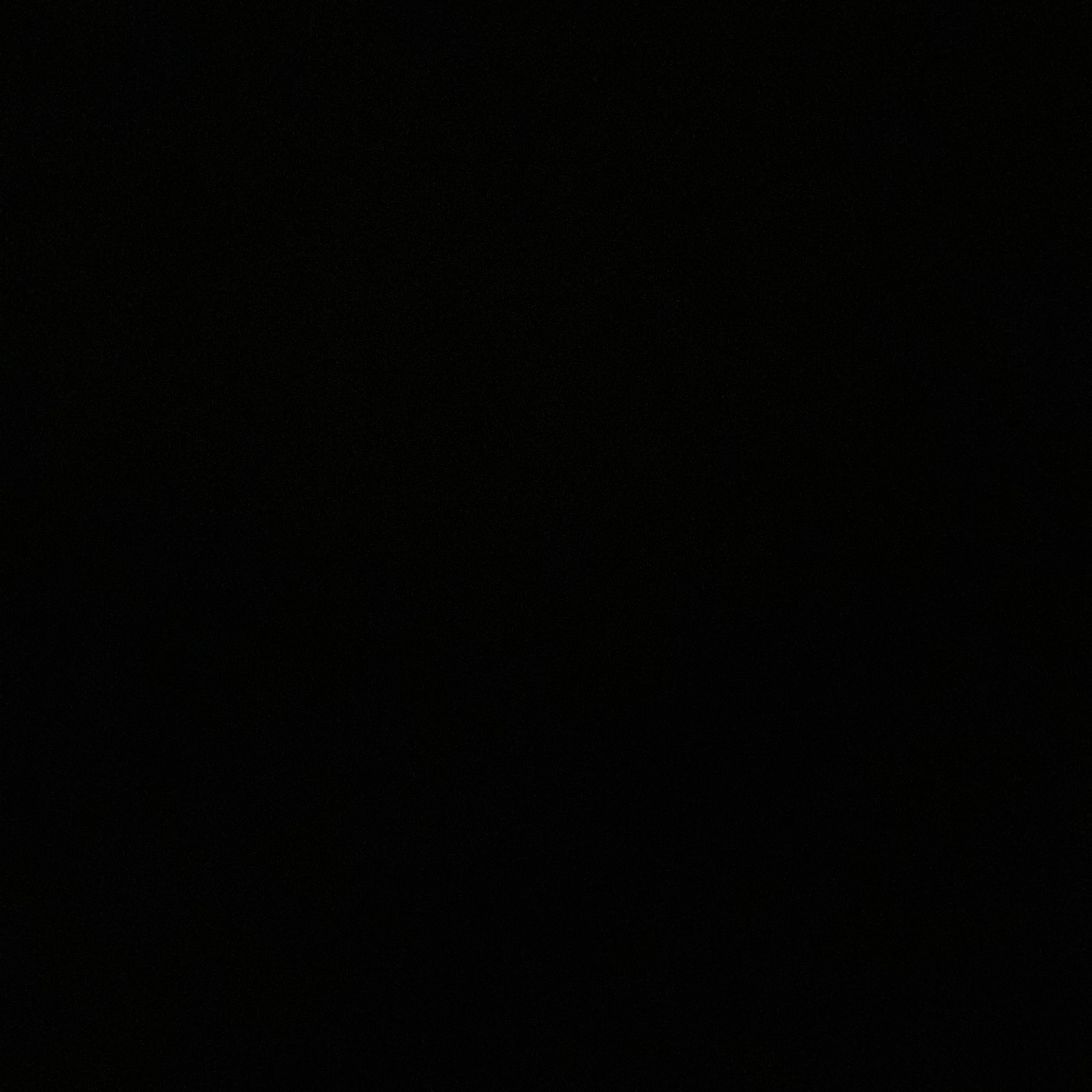 いいや、犬派です。