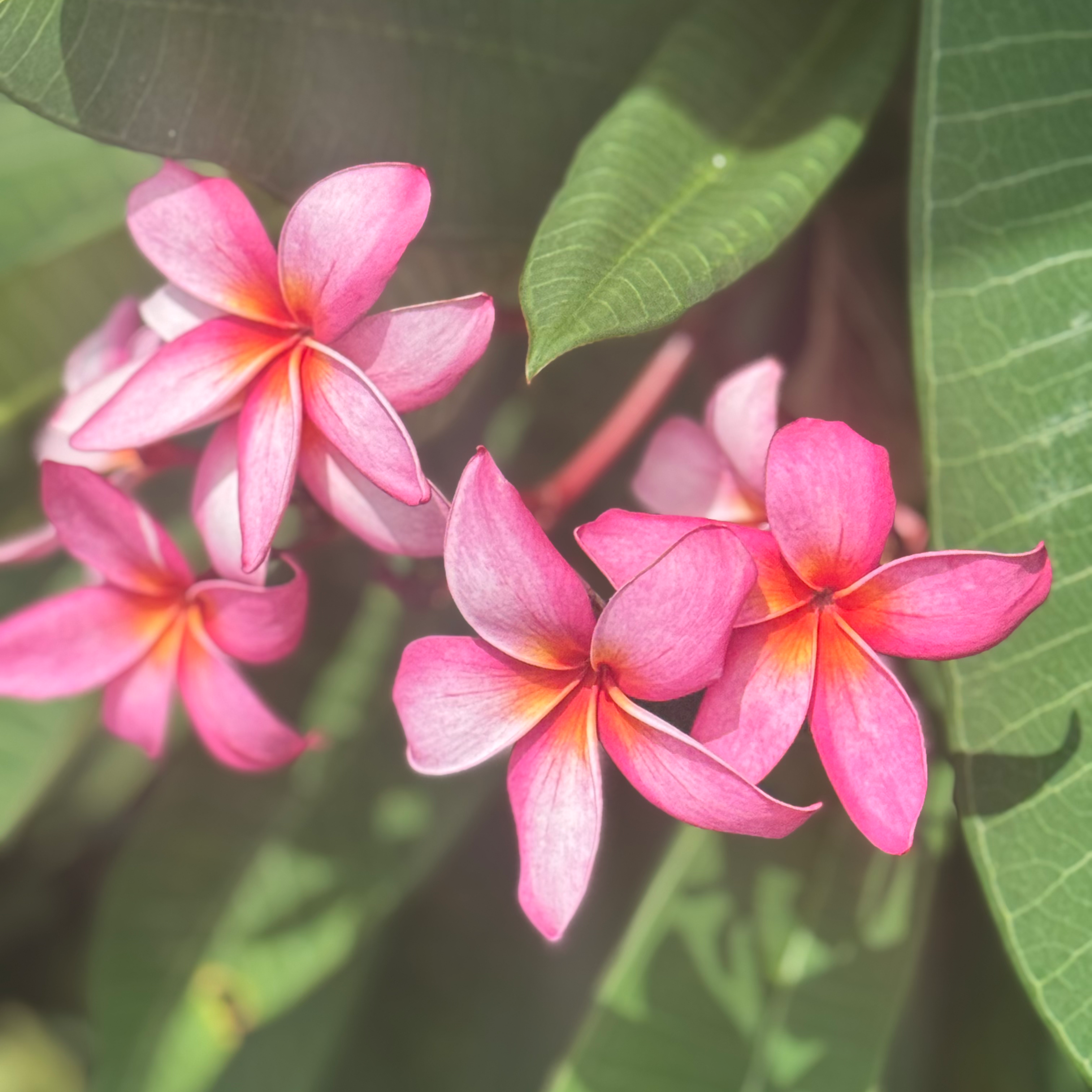 朝10時から正午