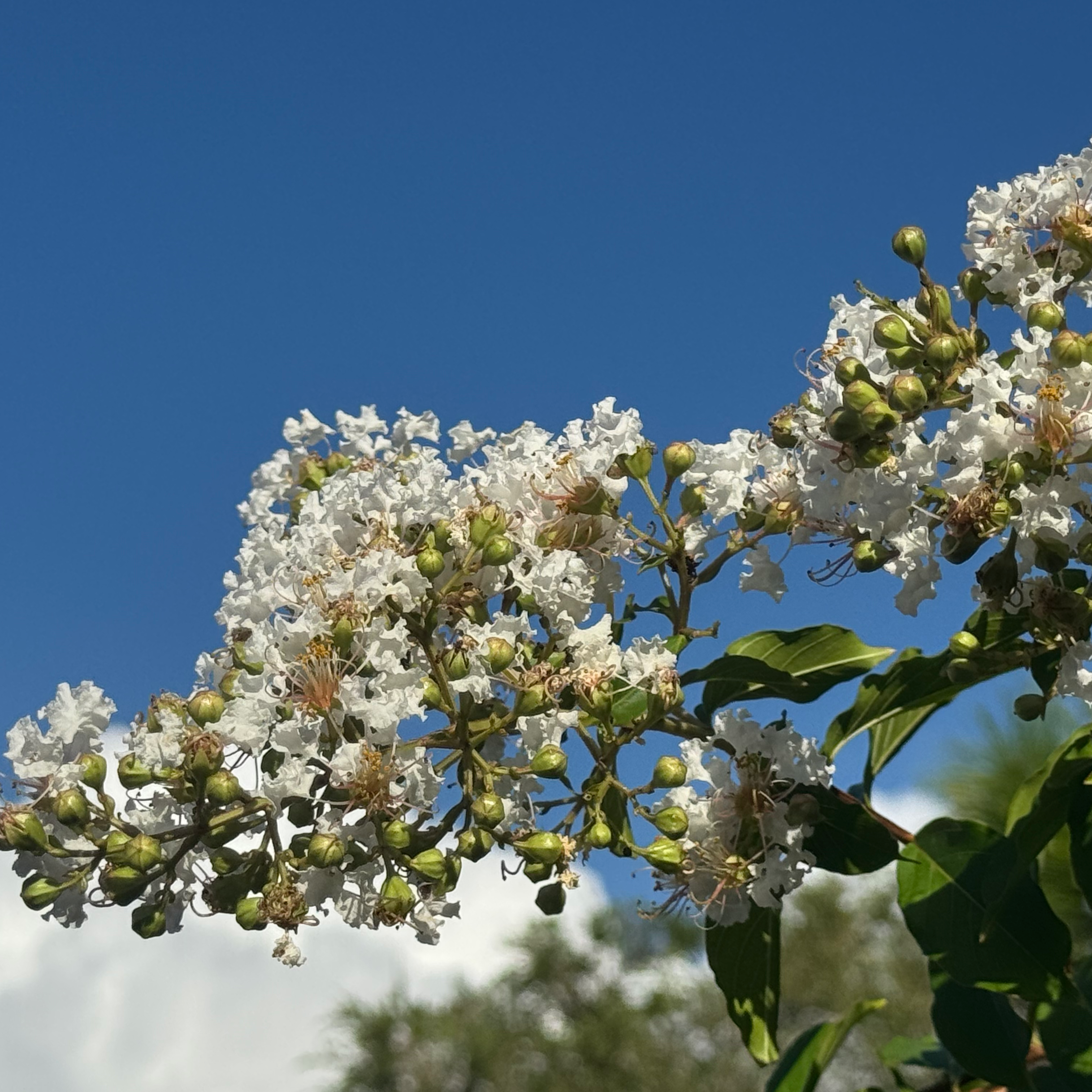 何時でもお任せ