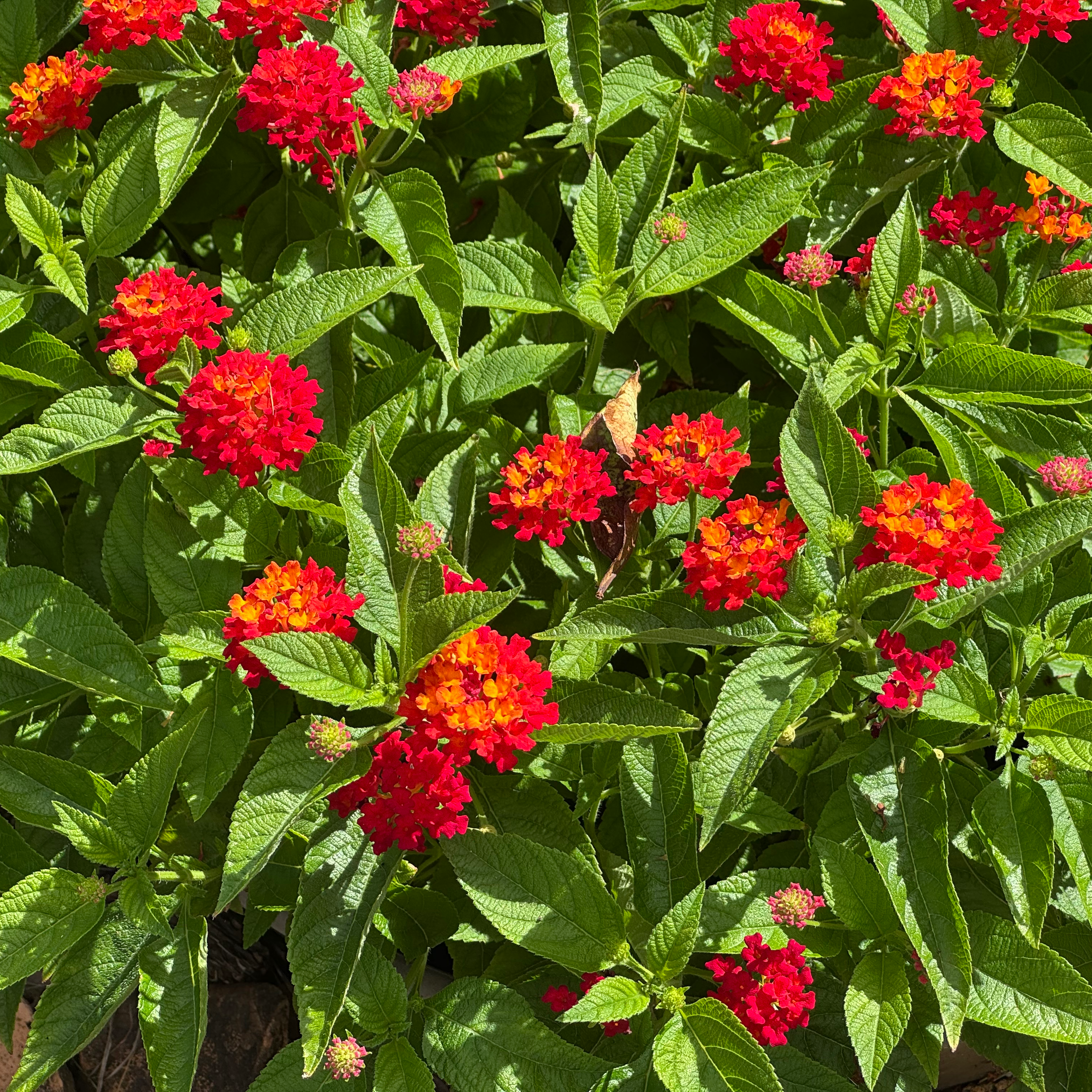 正午過ぎから16時