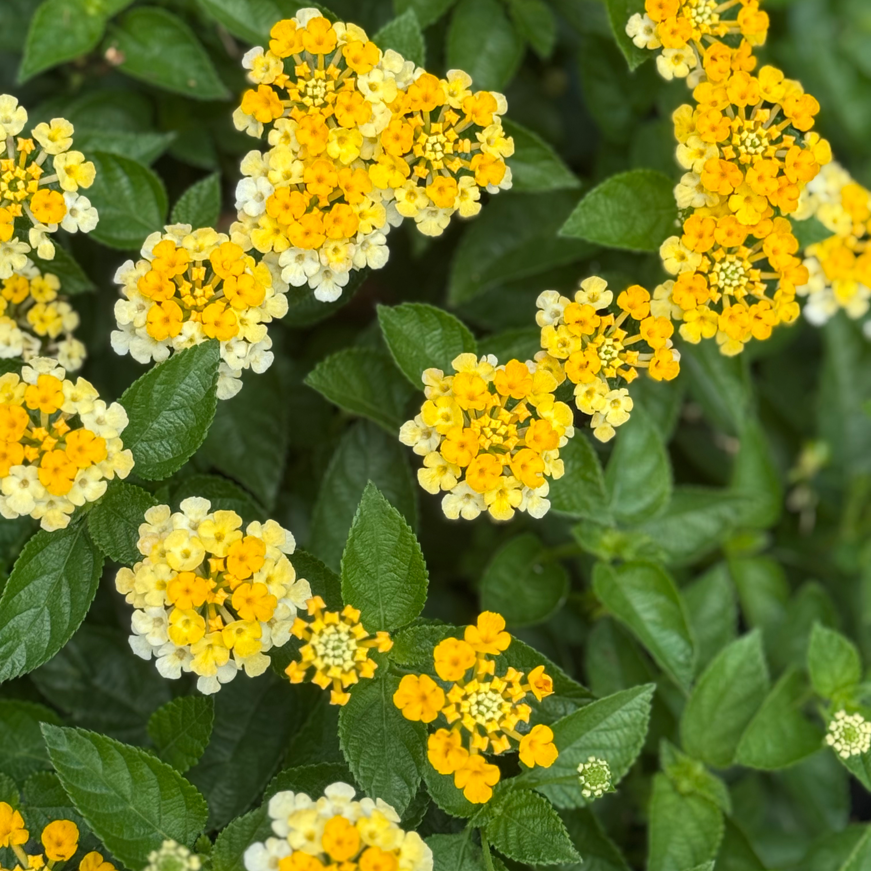 22時から深夜0時