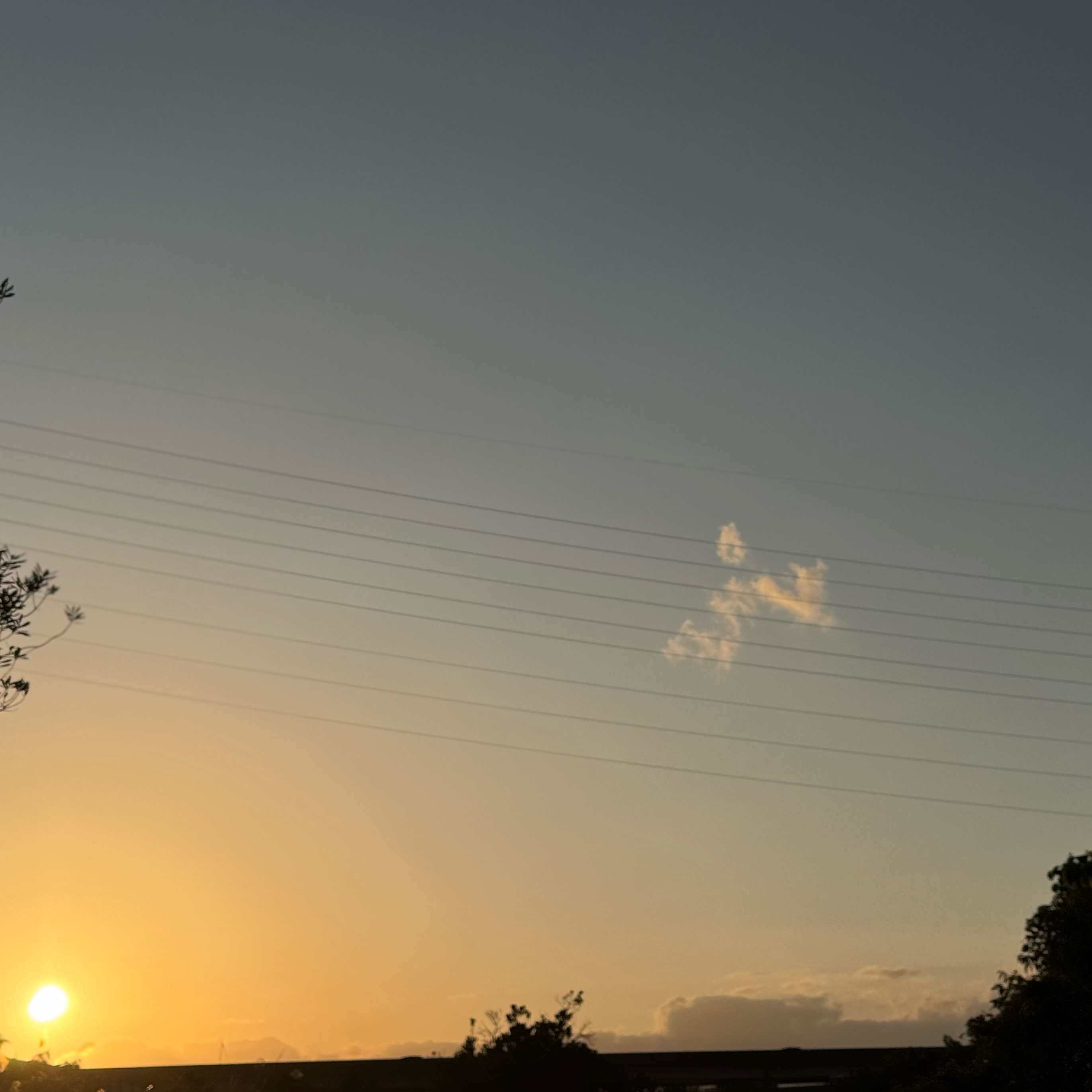 フレーム沢山ないと参加しない。