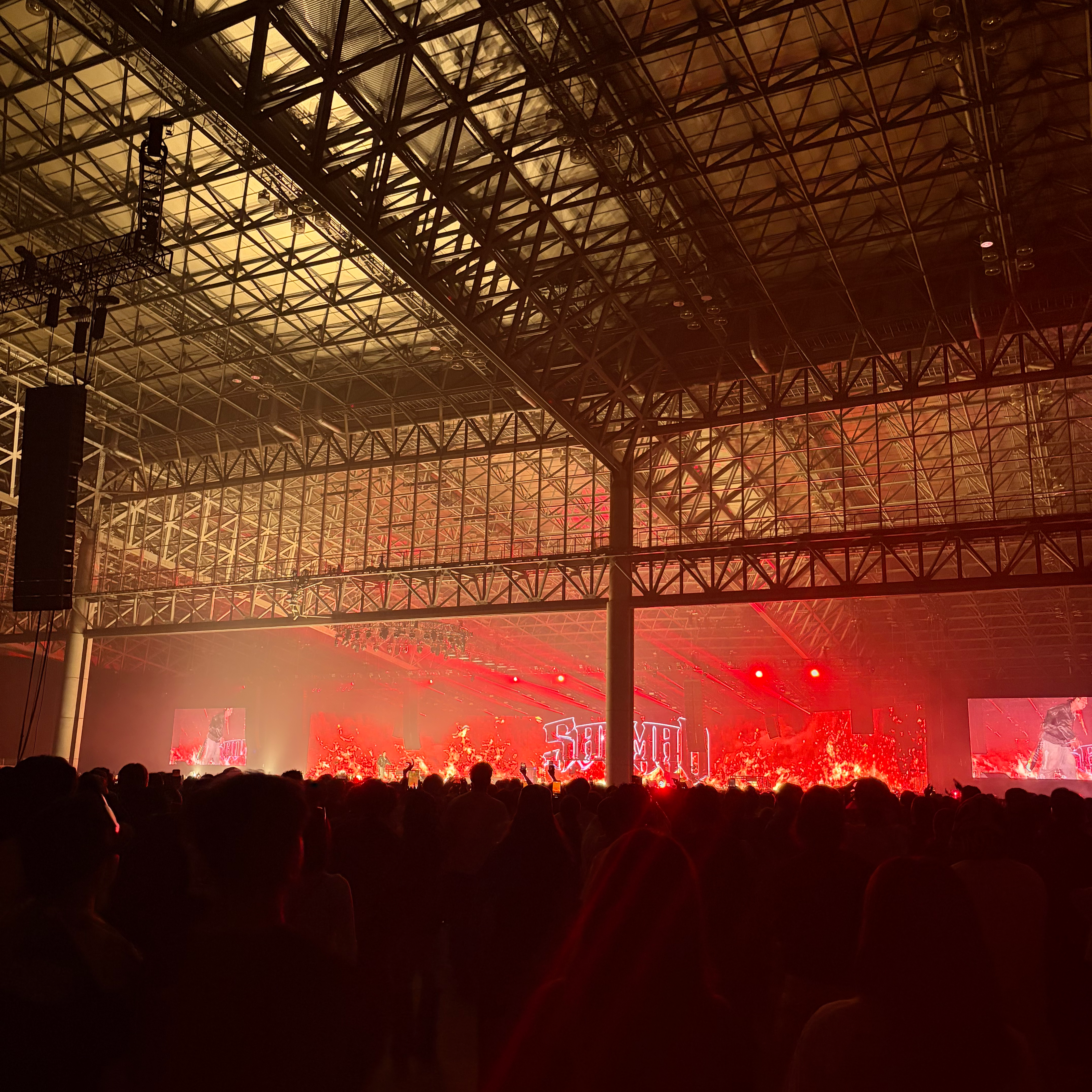 流石に行くしかない