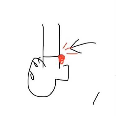 ほたる