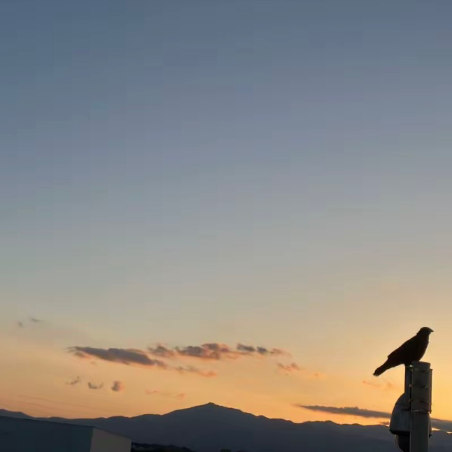 返信する気分じゃない