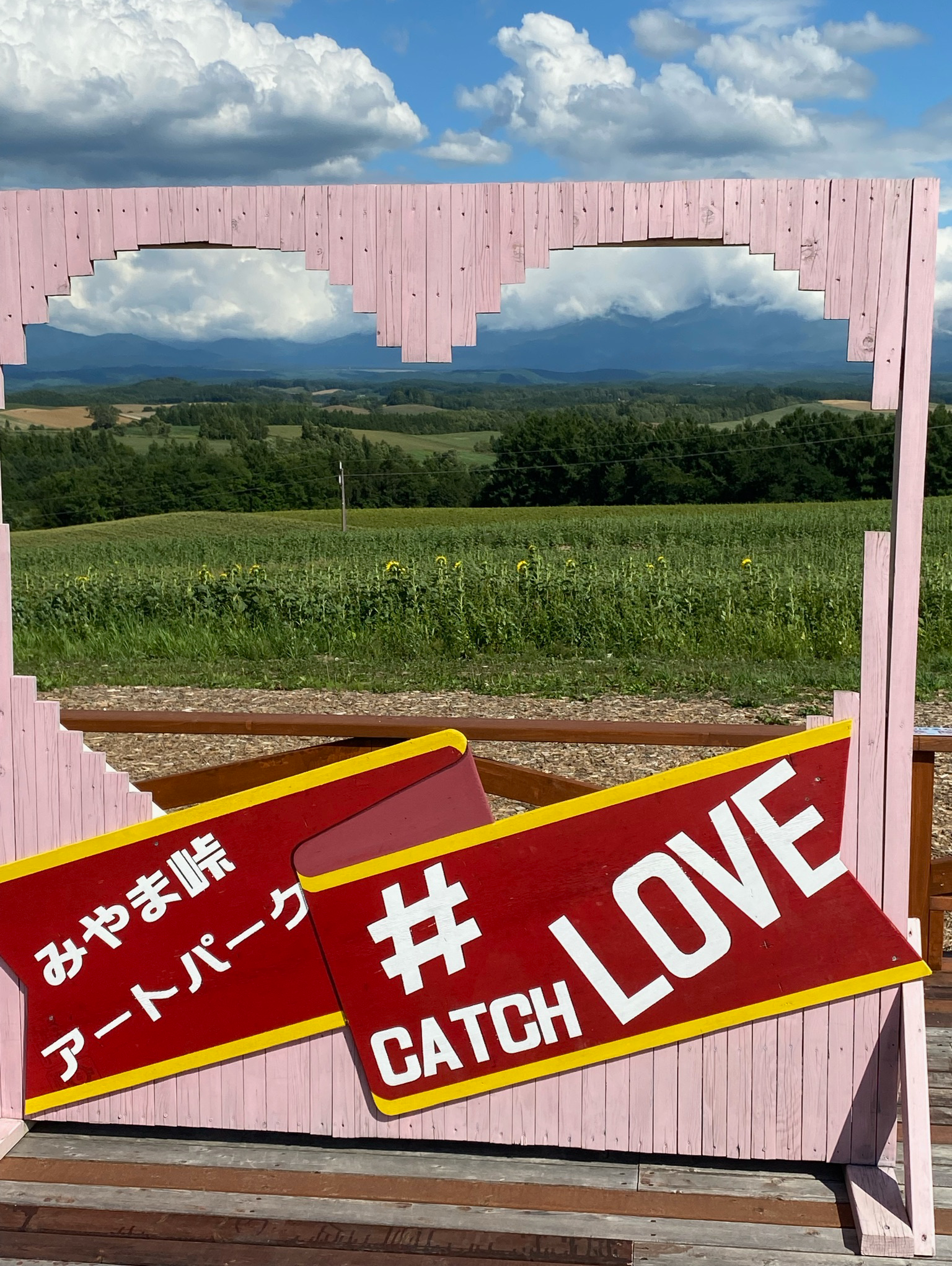 みんなの趣味は